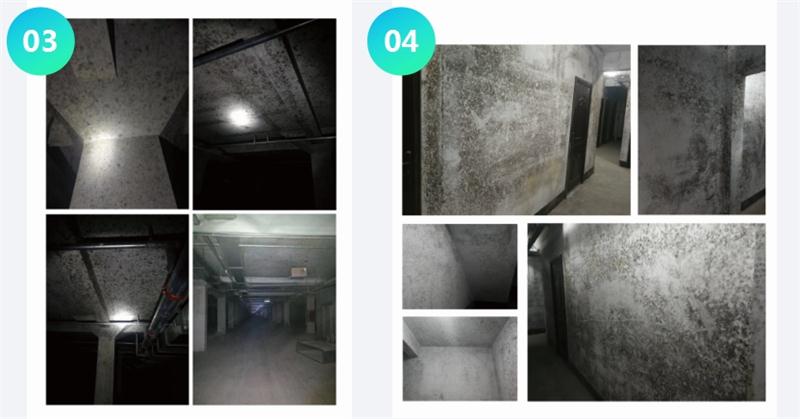 霉菌的溫床：地下車庫或儲藏室潮濕、滲漏...(圖2)