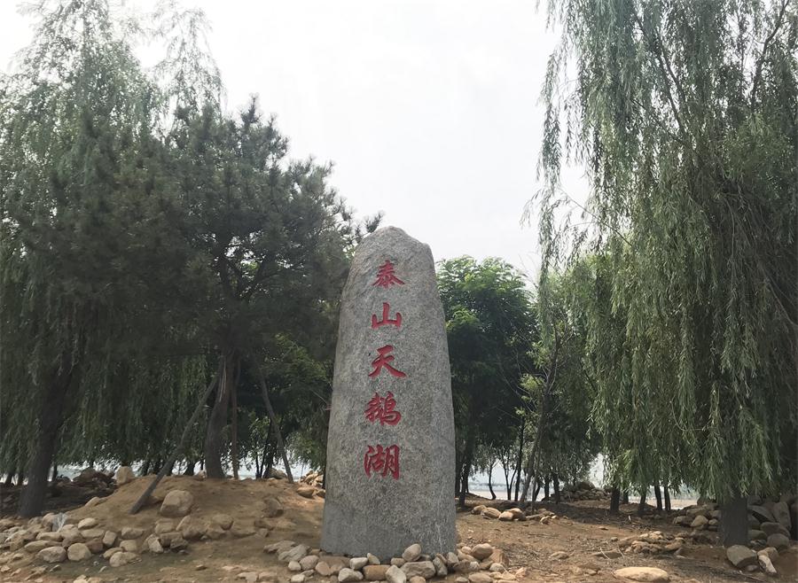 天鵝湖風(fēng)景區(qū)（泰山）速覽！(圖12)