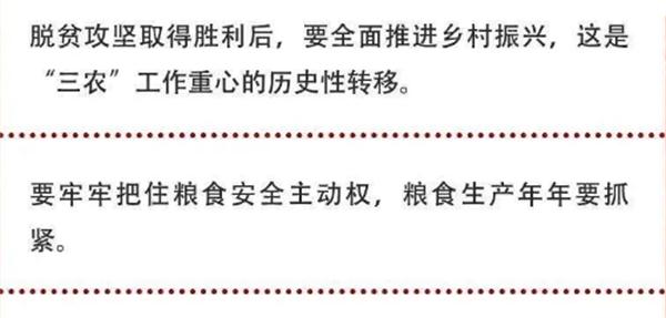 2020年中央農(nóng)村工作會(huì)議精神速覽！(圖2)